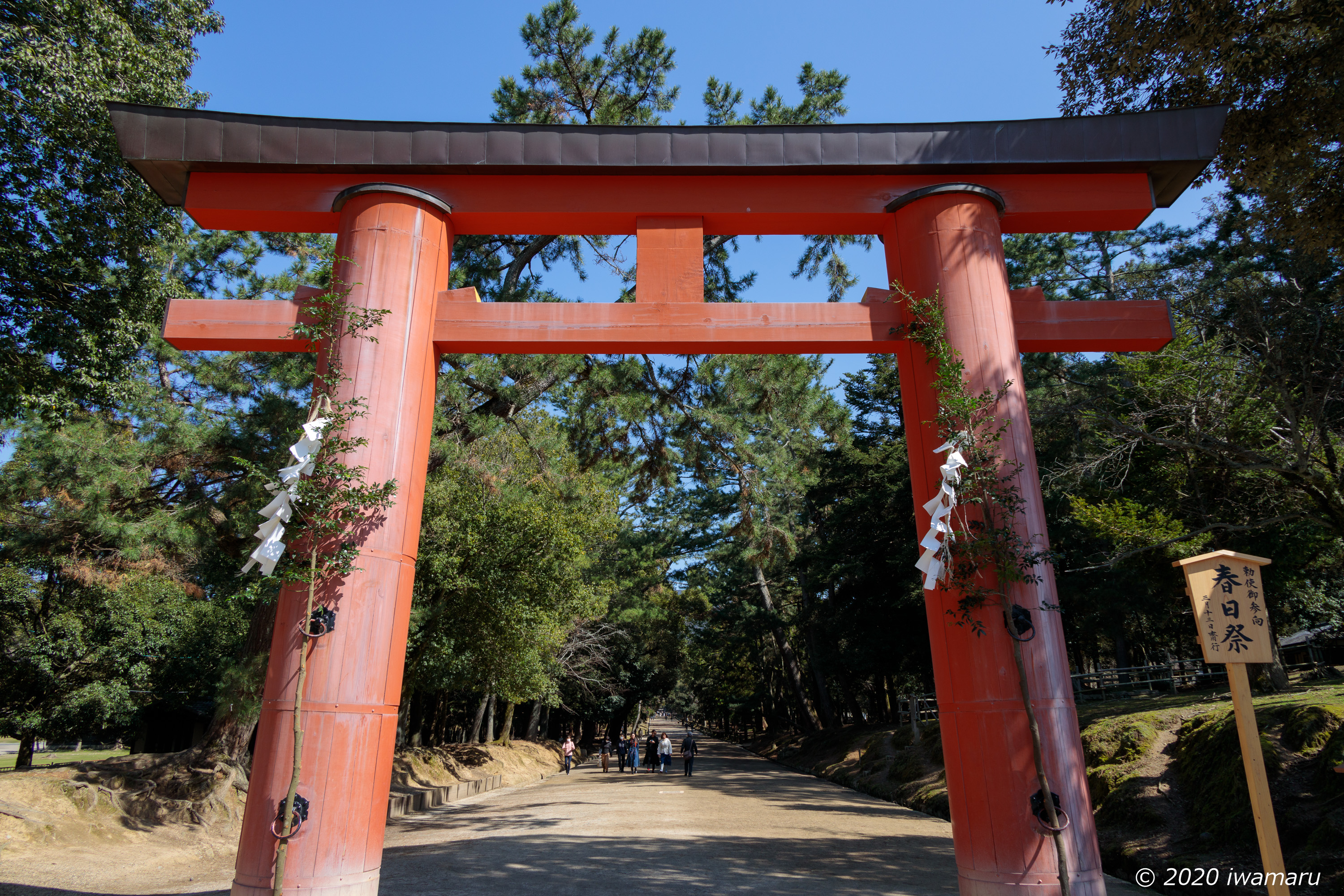 f:id:iwa_maru:20200313212429j:plain