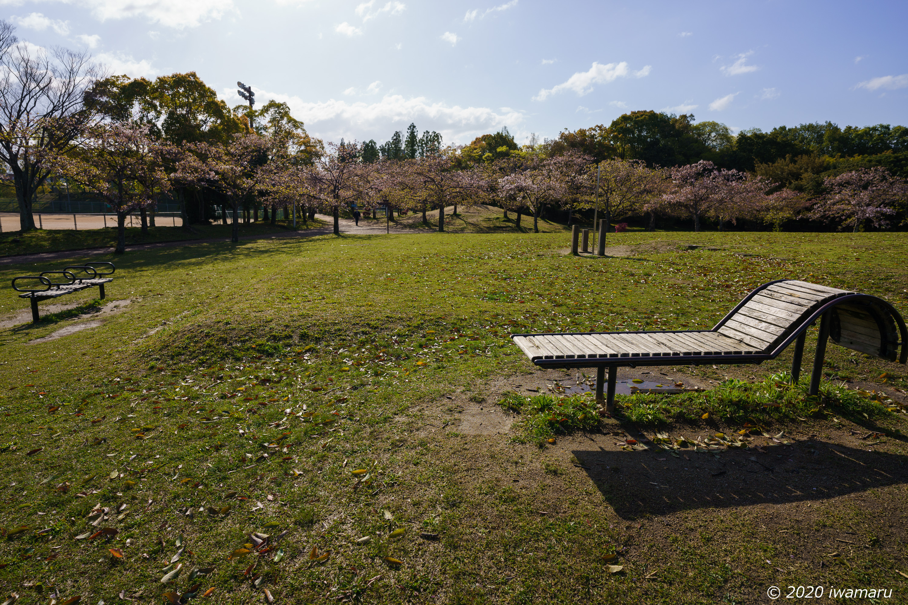 f:id:iwa_maru:20200414215150j:plain