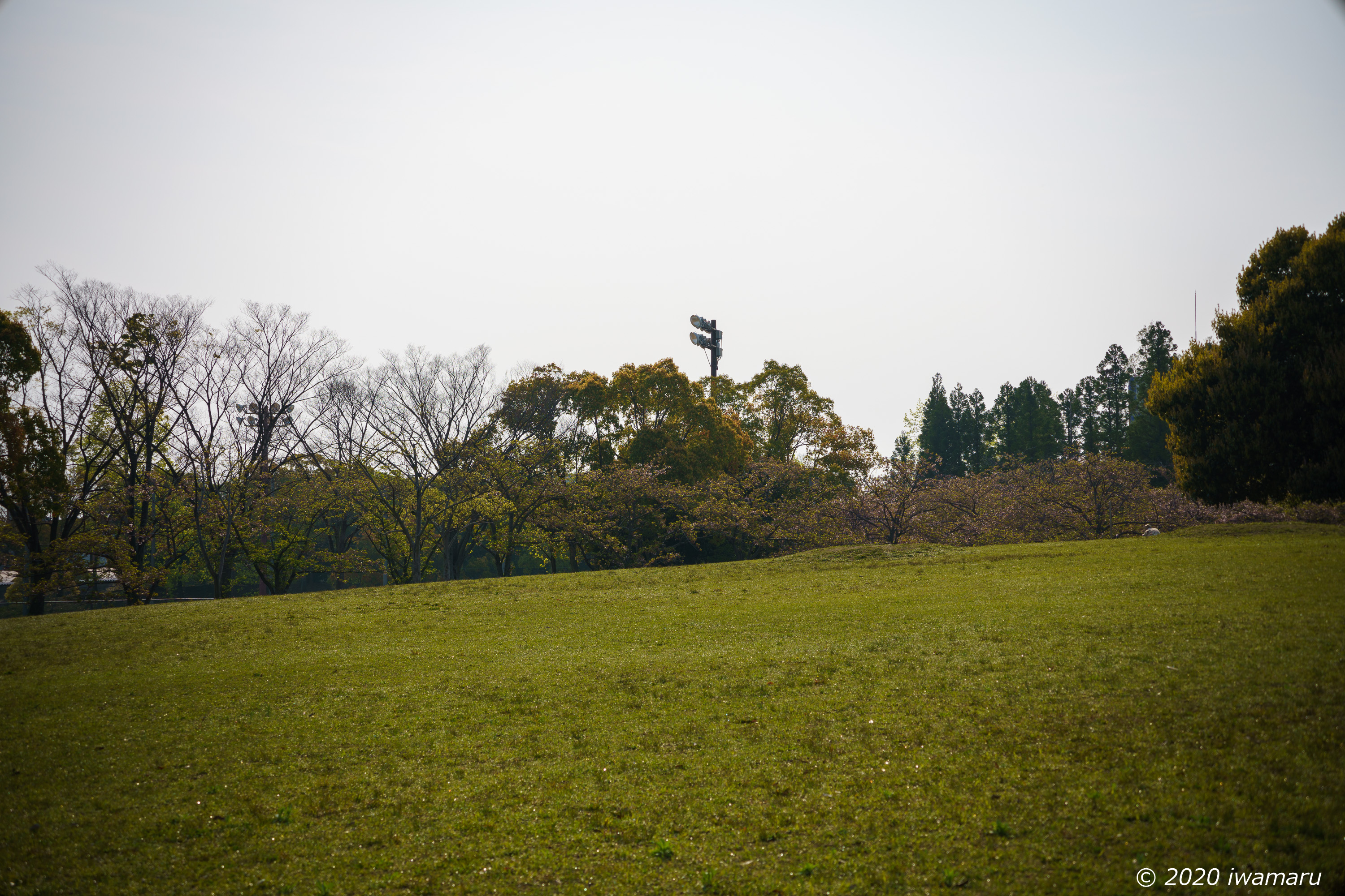 f:id:iwa_maru:20200423195537j:plain