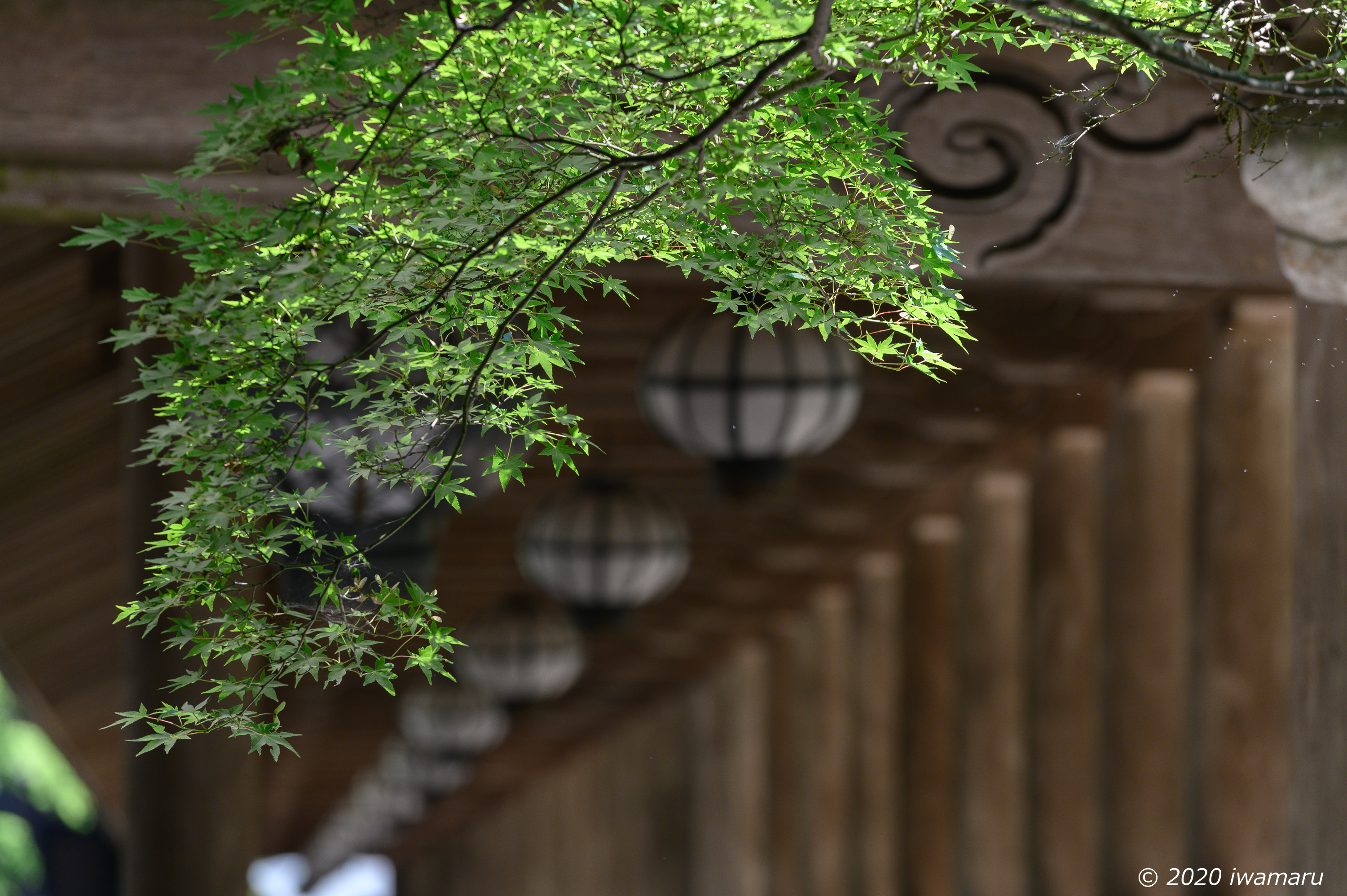 f:id:iwa_maru:20200613172941j:plain