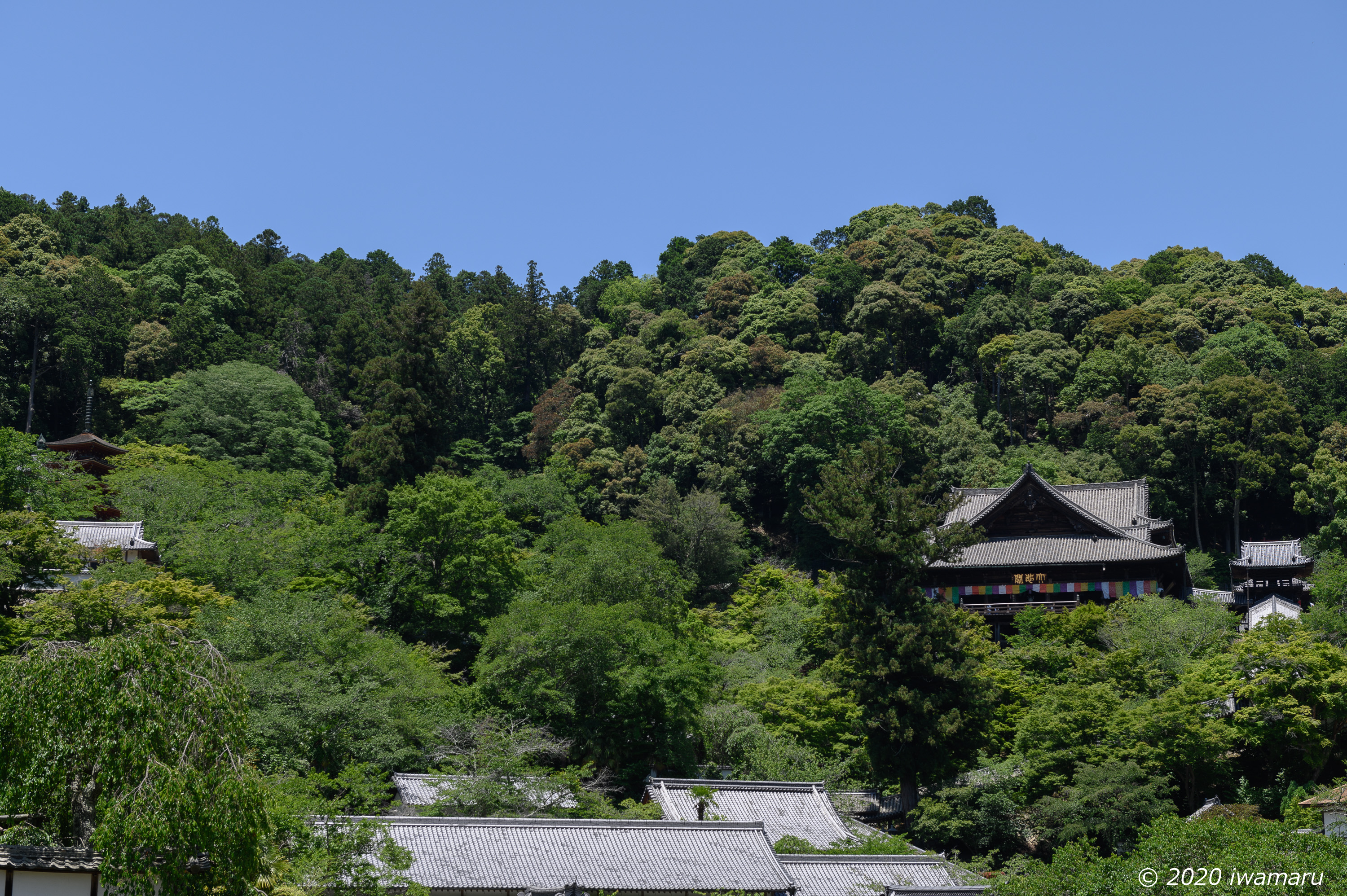f:id:iwa_maru:20200613173006j:plain