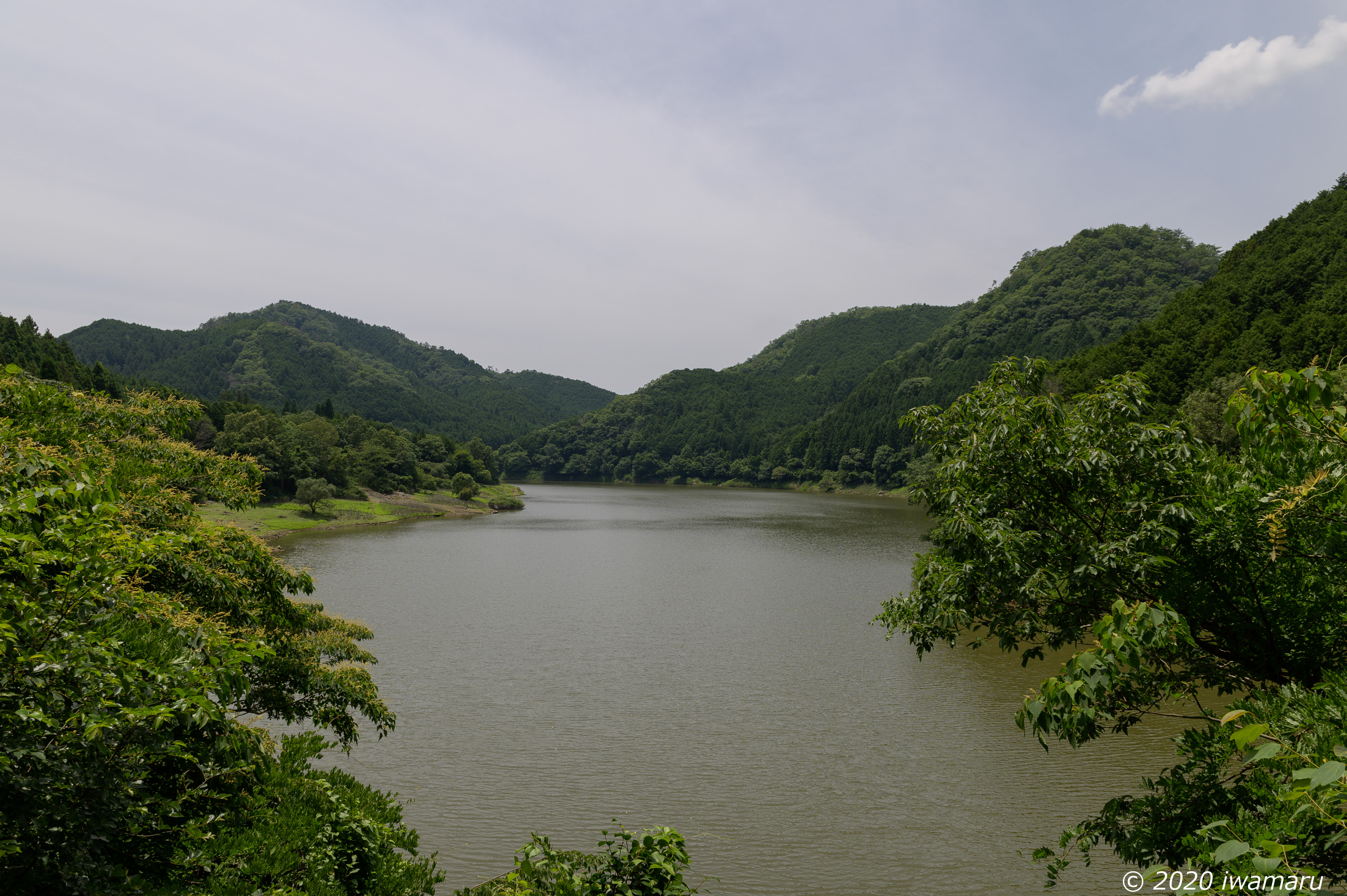 f:id:iwa_maru:20200701211549j:plain
