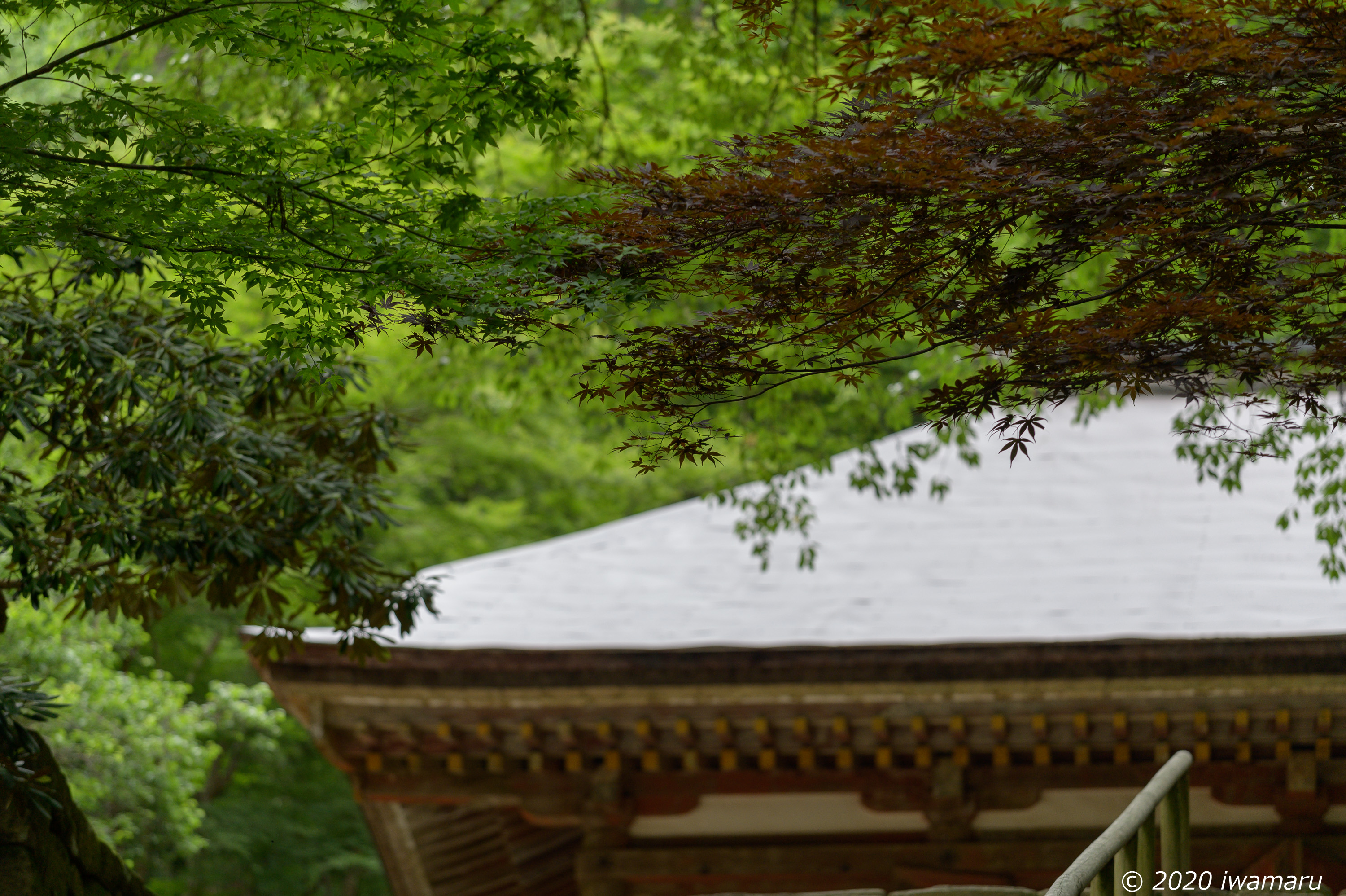 f:id:iwa_maru:20200702212247j:plain