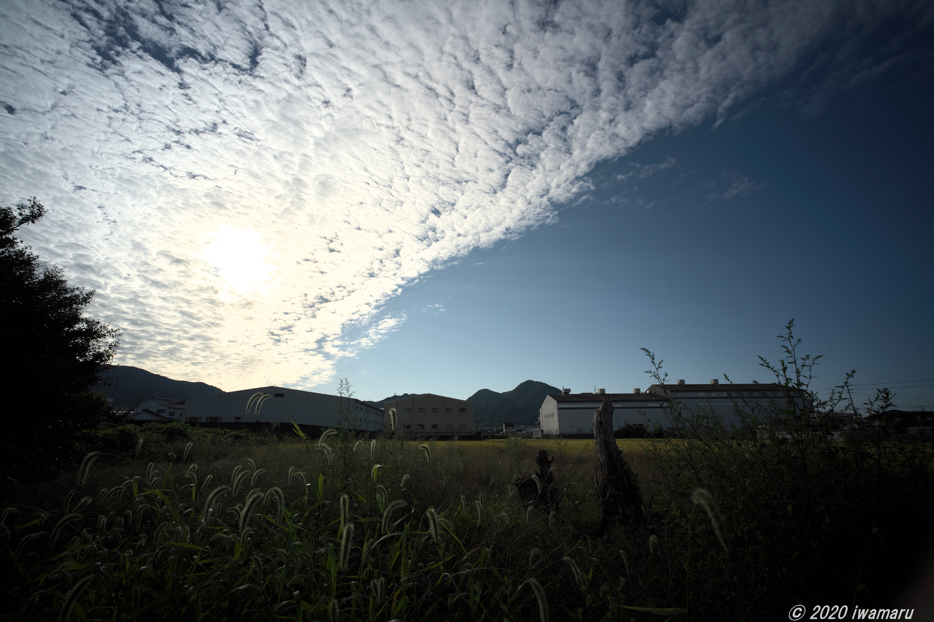 f:id:iwa_maru:20201020213800j:plain
