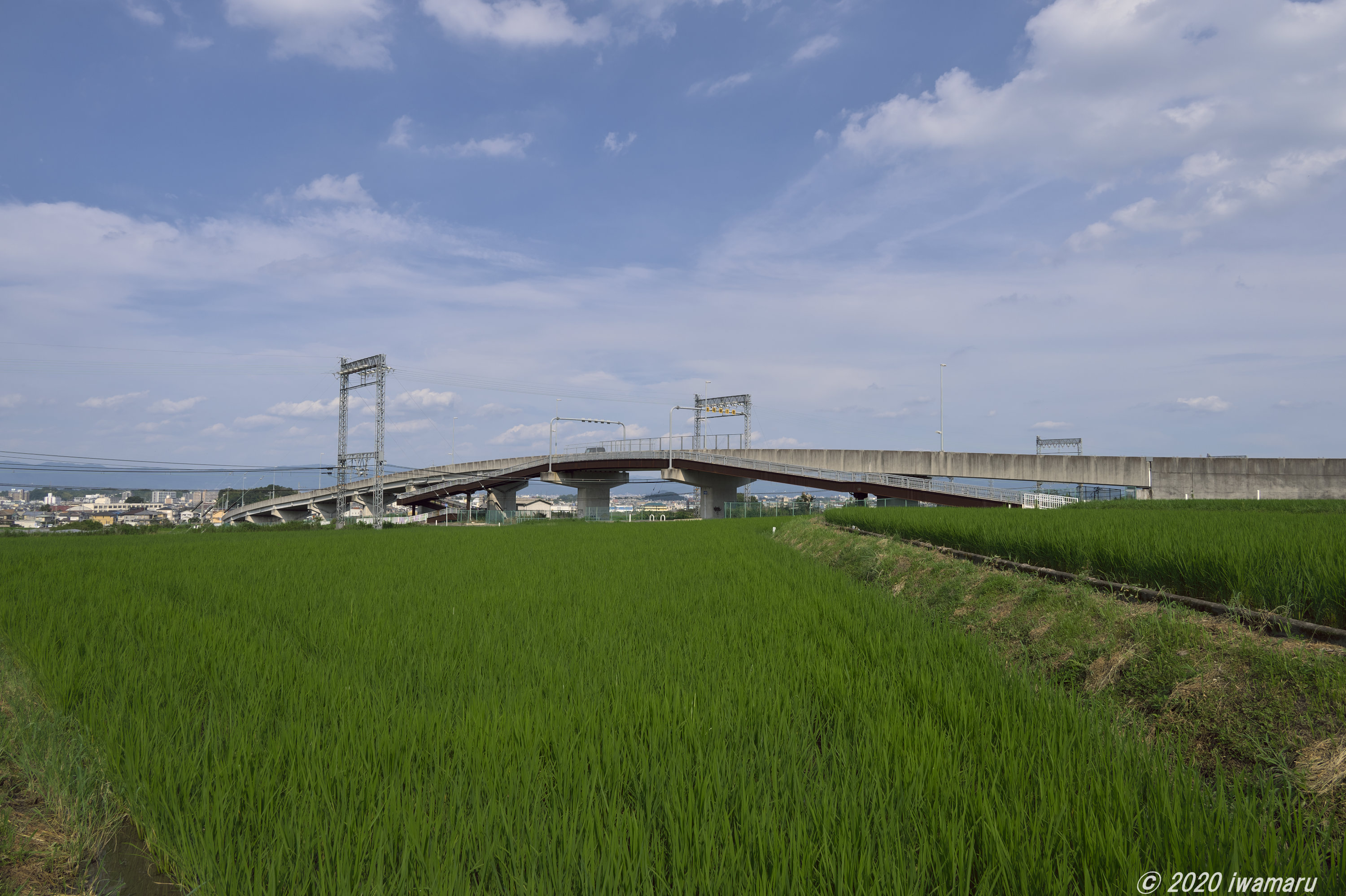 f:id:iwa_maru:20201020213825j:plain