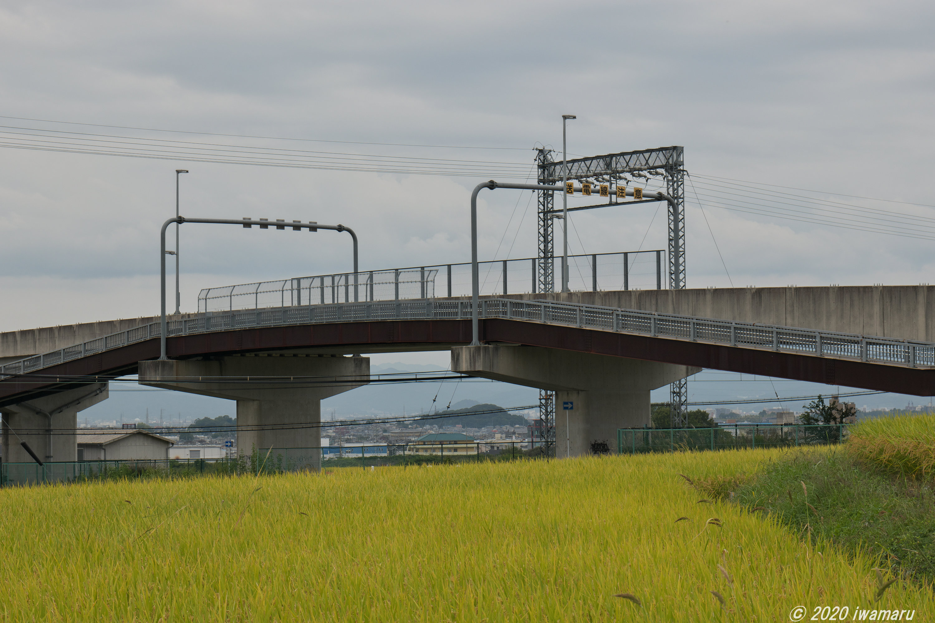 f:id:iwa_maru:20201028215210j:plain