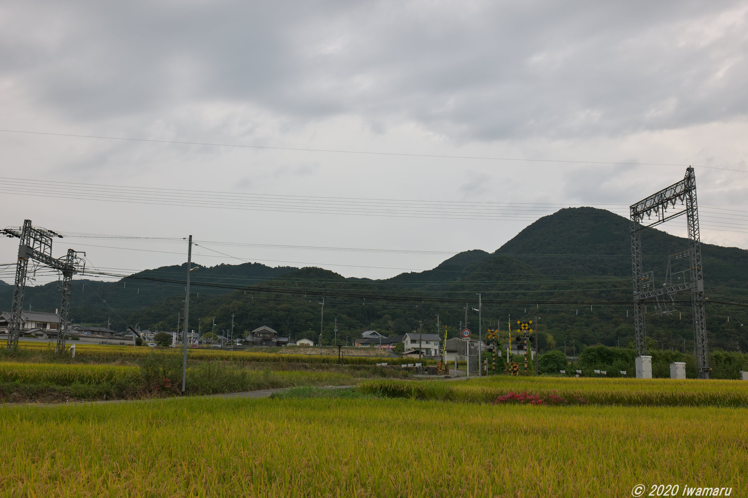 f:id:iwa_maru:20201028215218j:plain