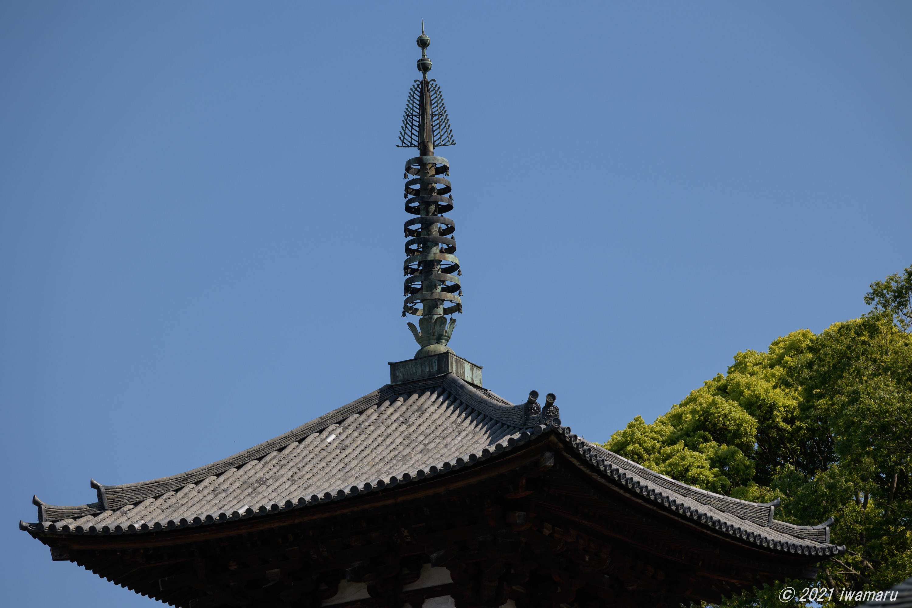f:id:iwa_maru:20210501204912j:plain