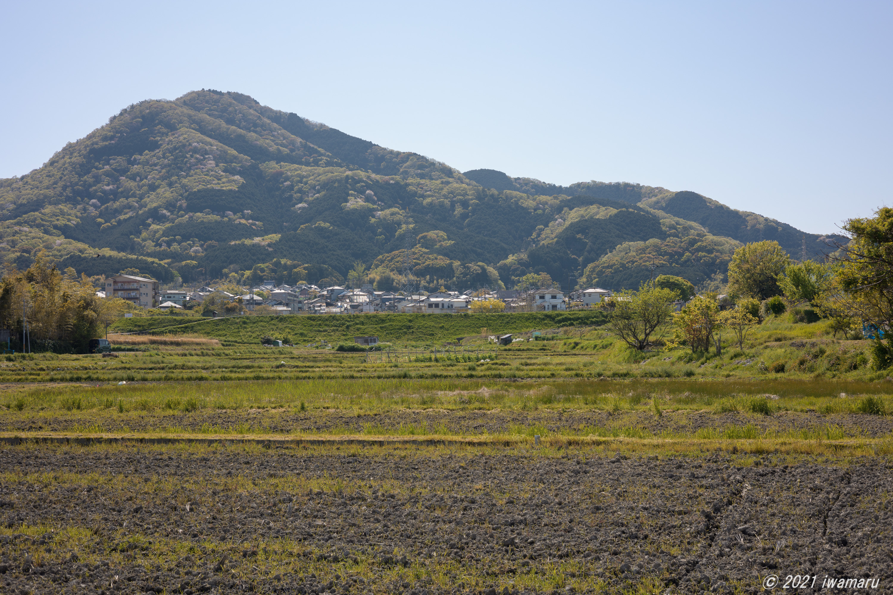 f:id:iwa_maru:20210516214746j:plain