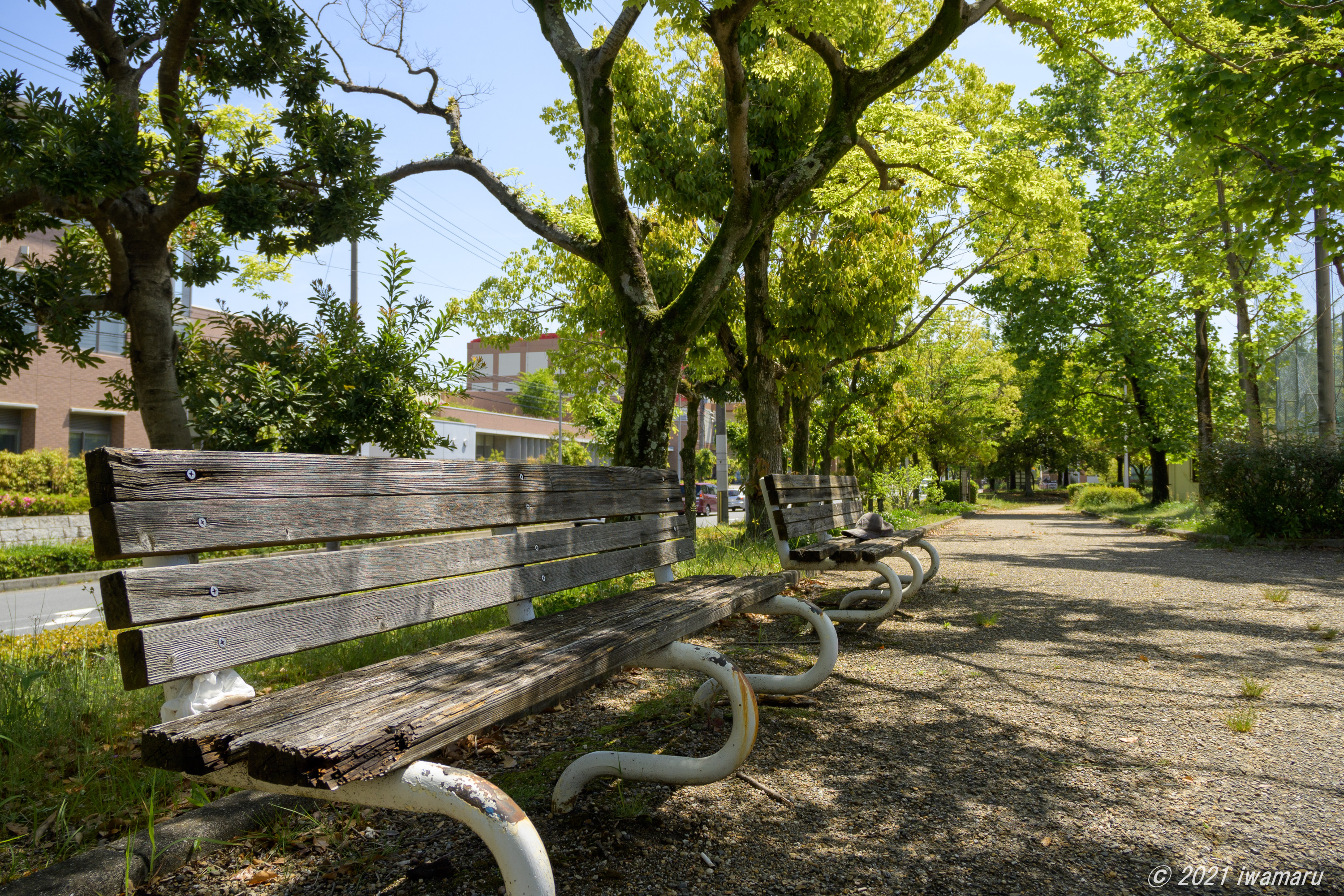 f:id:iwa_maru:20210517201512j:plain