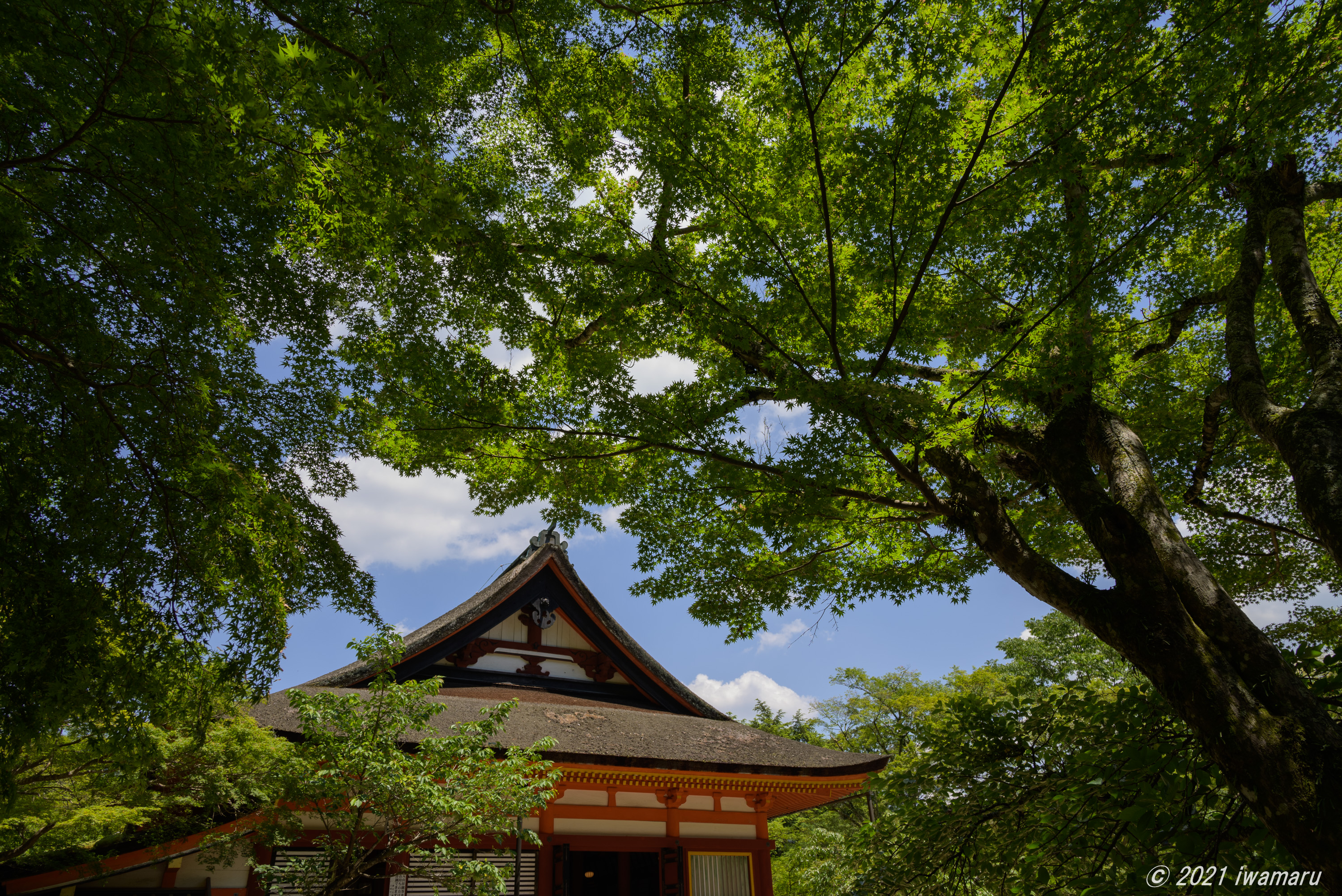 f:id:iwa_maru:20210530210618j:plain