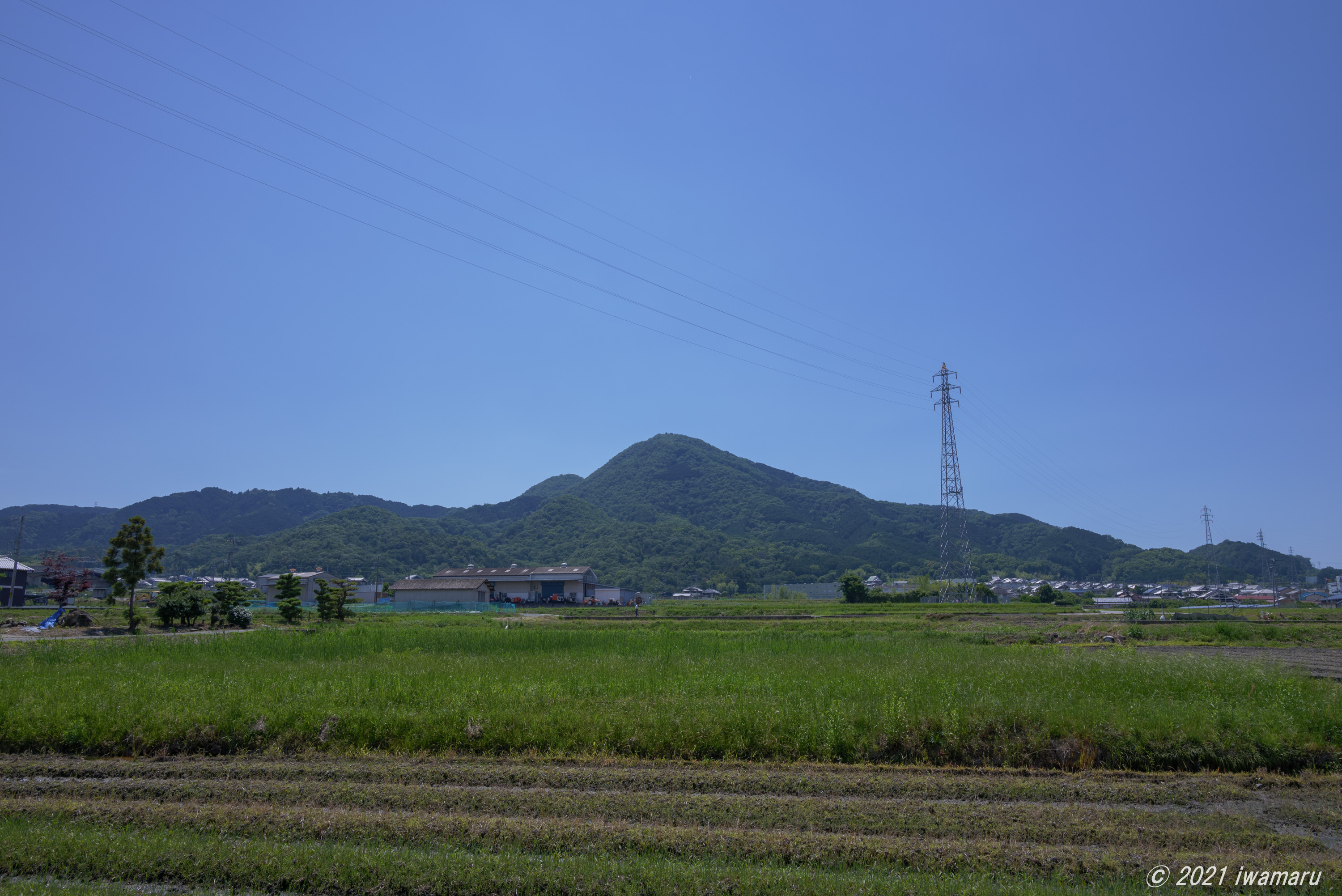 f:id:iwa_maru:20210619220847j:plain