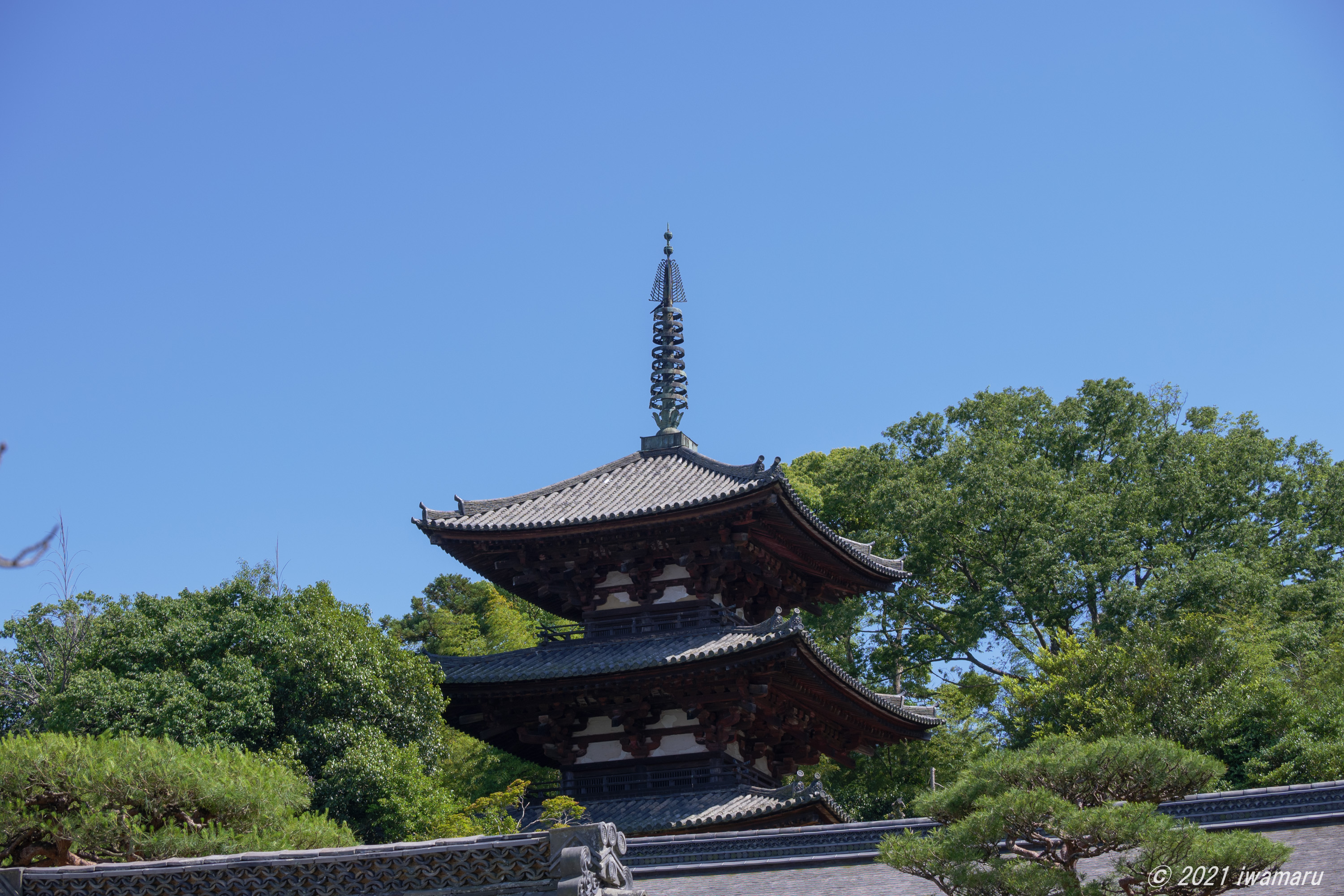 f:id:iwa_maru:20210619220940j:plain