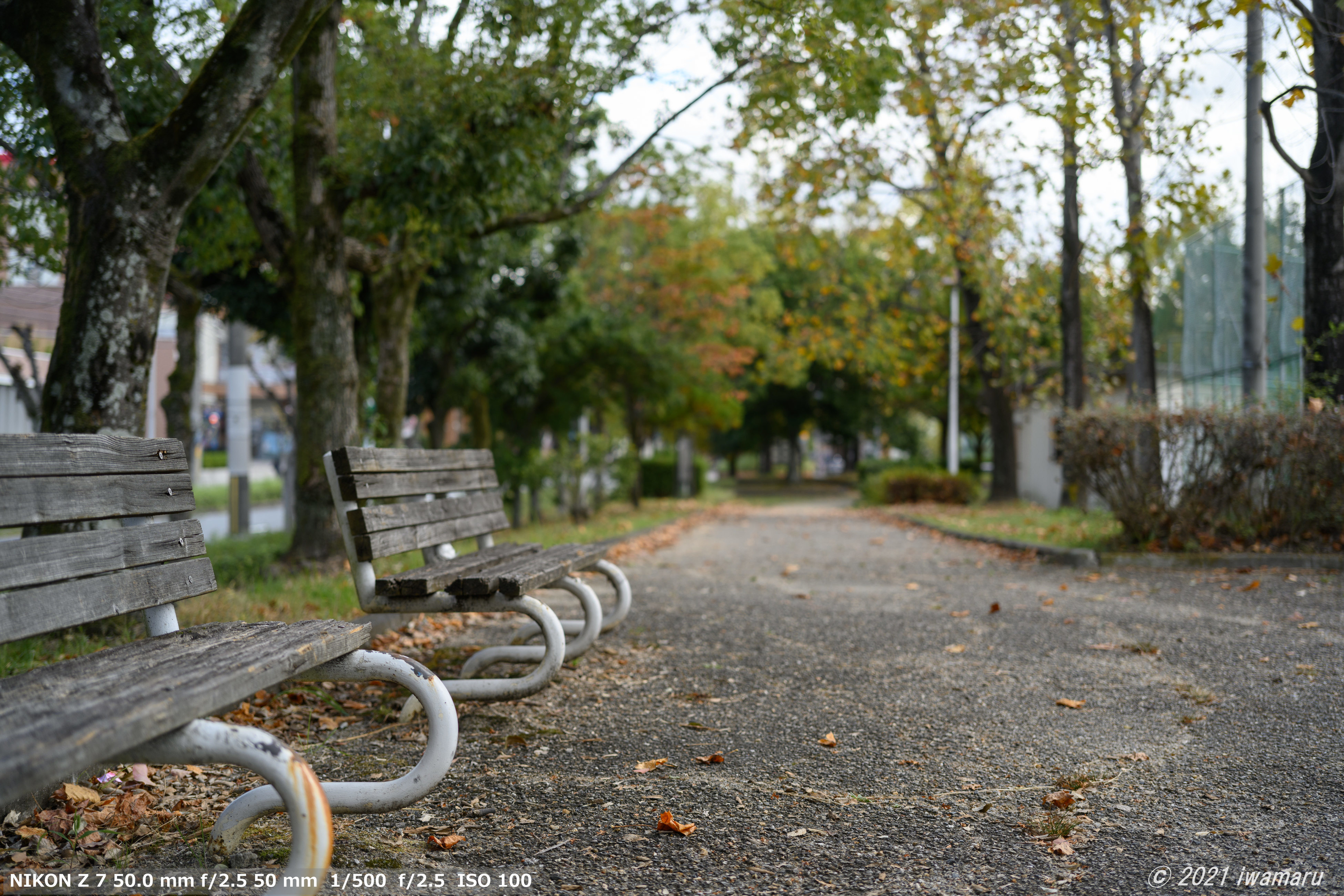 f:id:iwa_maru:20211020143547j:plain