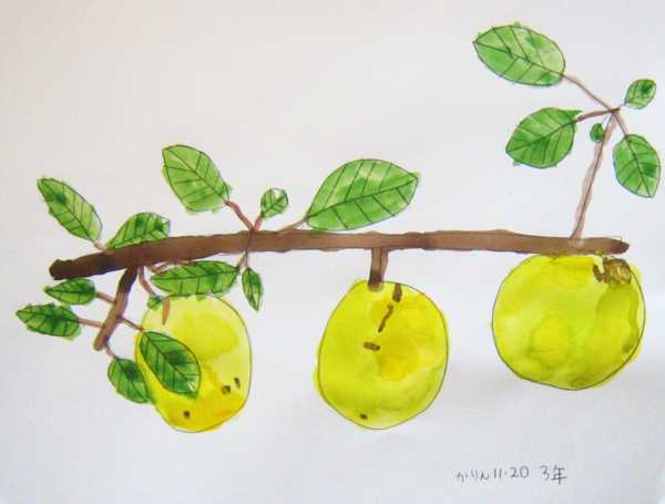 f:id:iwahisa:20111120105610j:image