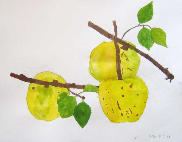 f:id:iwahisa:20111120105908j:image