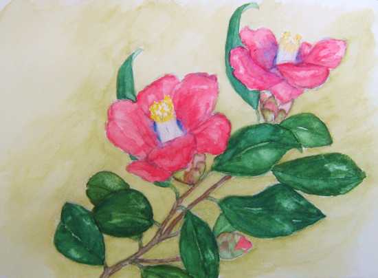 f:id:iwahisa:20120313111633j:image