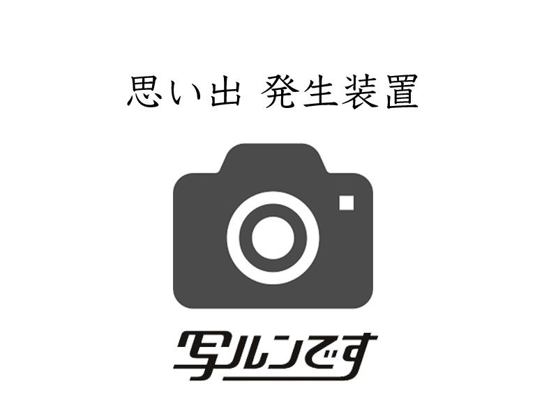 f:id:iwakeen:20201010110817j:plain