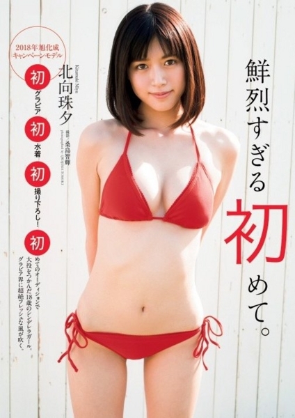 北向珠夕
