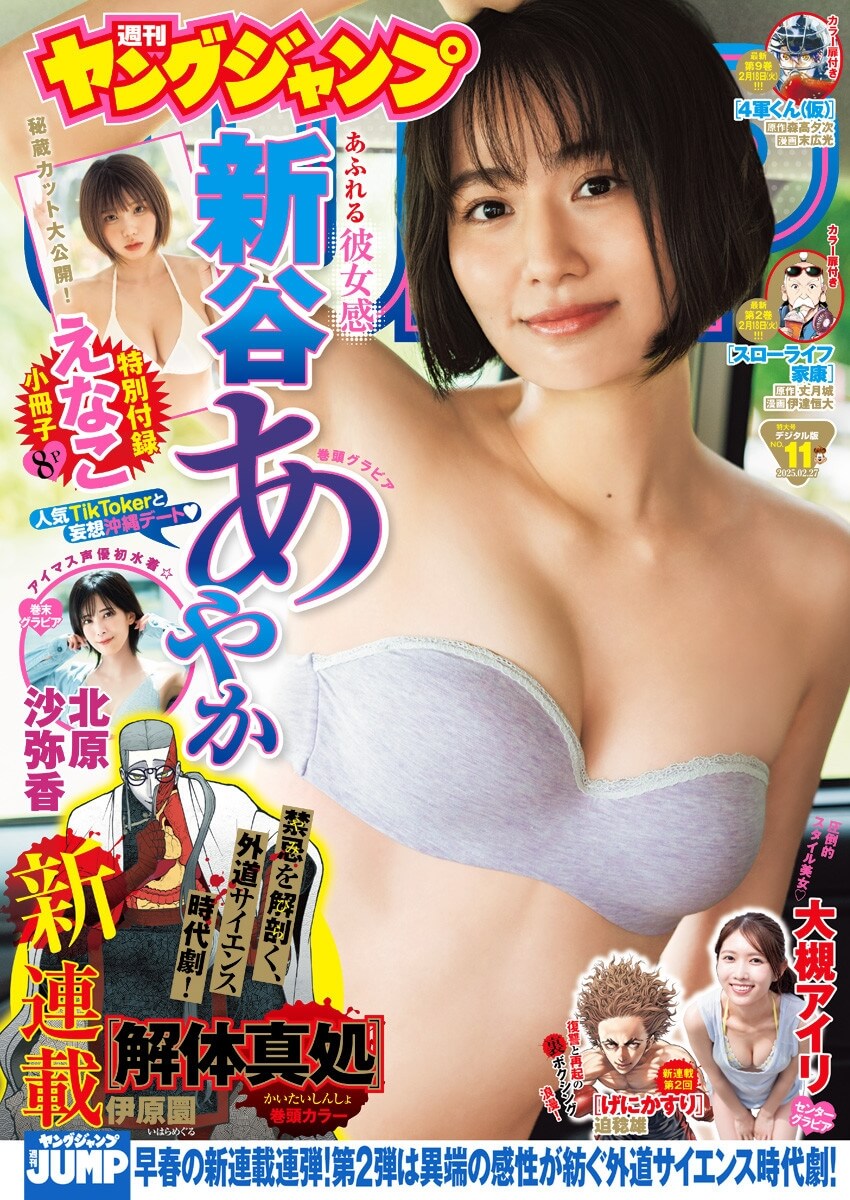 新谷あやか水着画像