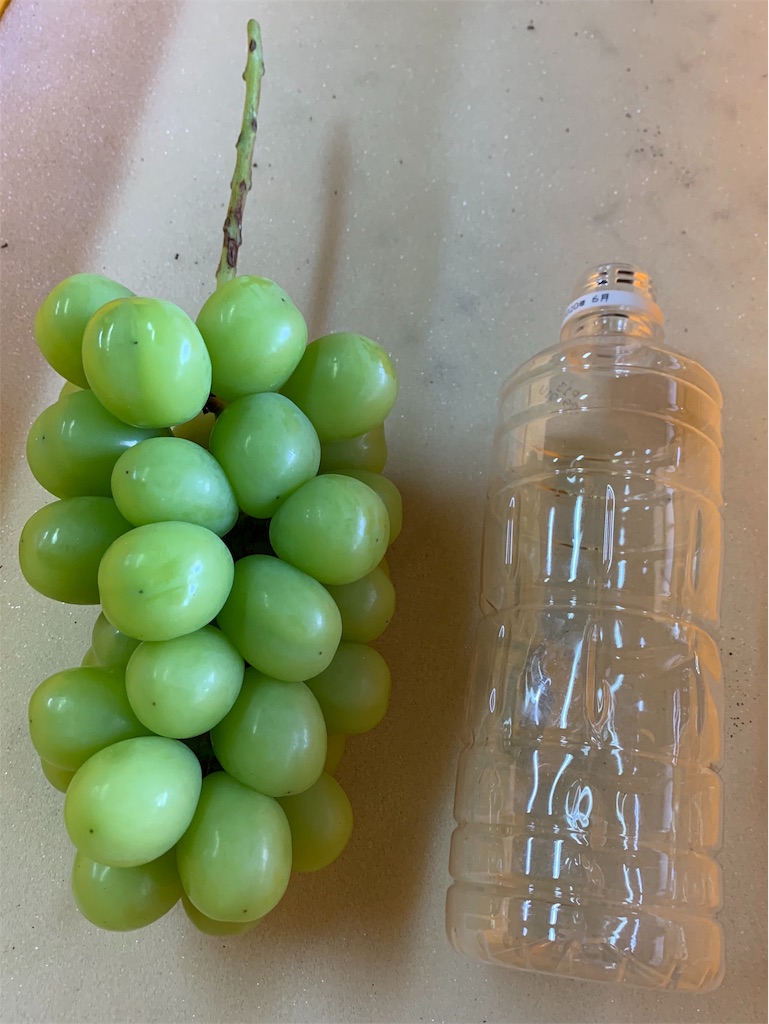 f:id:iwamityu:20190924212310j:image