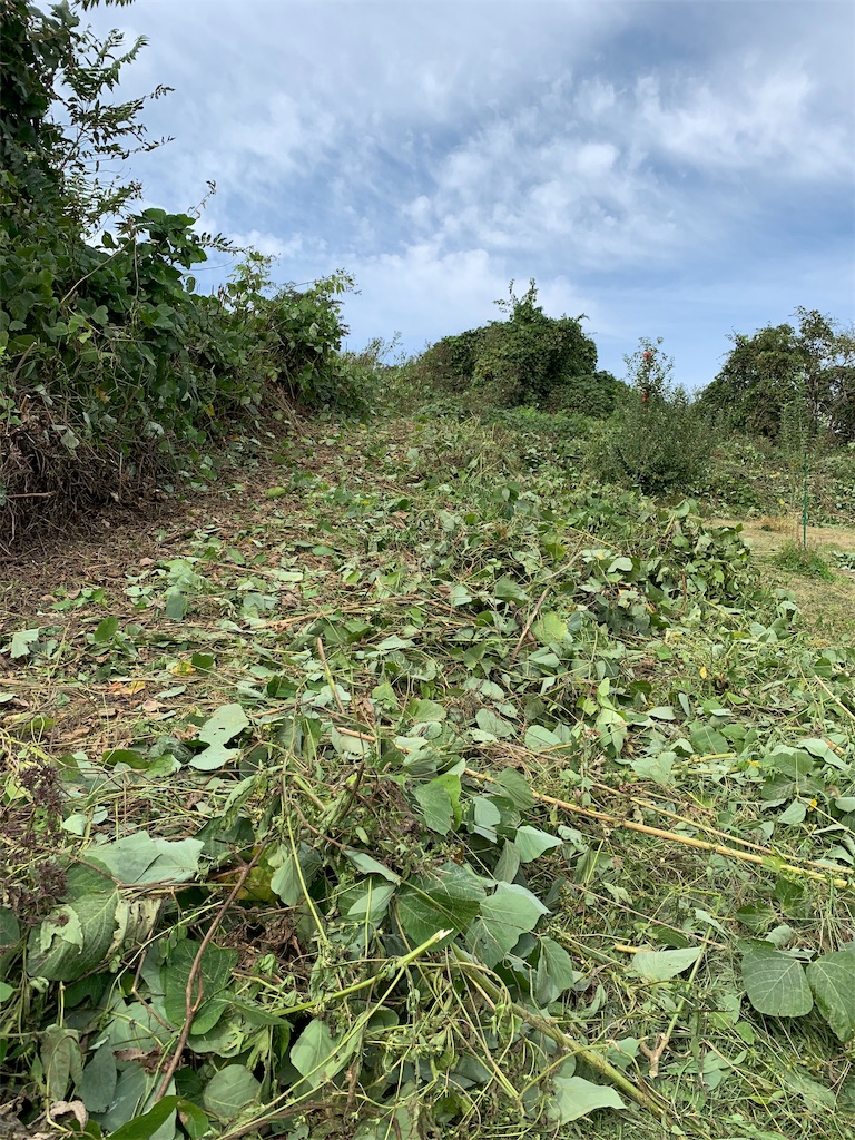 f:id:iwamityu:20191017124528j:image