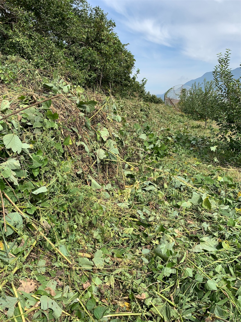 f:id:iwamityu:20191017124532j:image