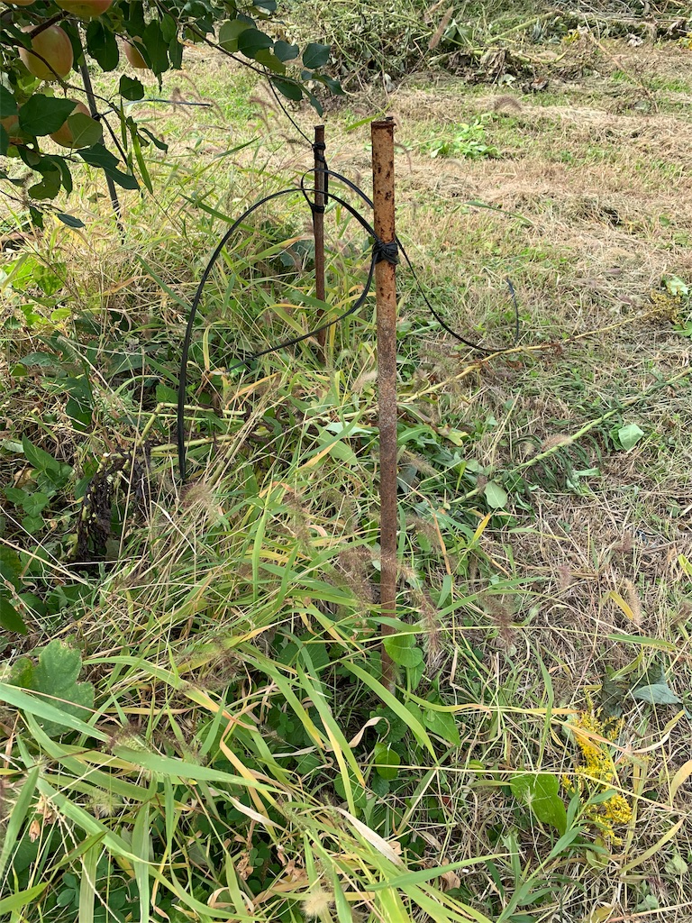 f:id:iwamityu:20191019065118j:image