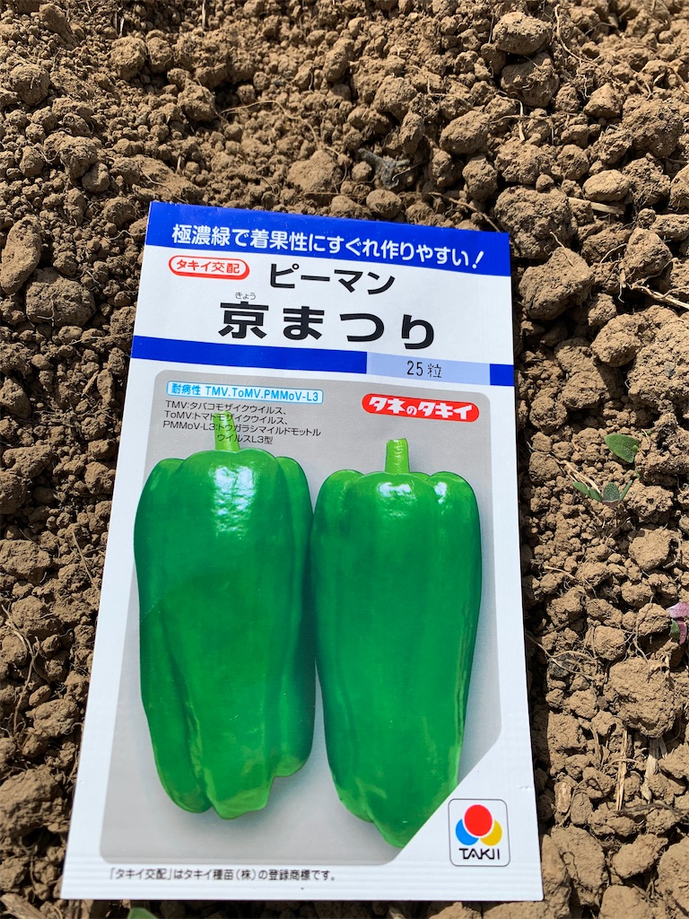f:id:iwamityu:20200517174832j:image