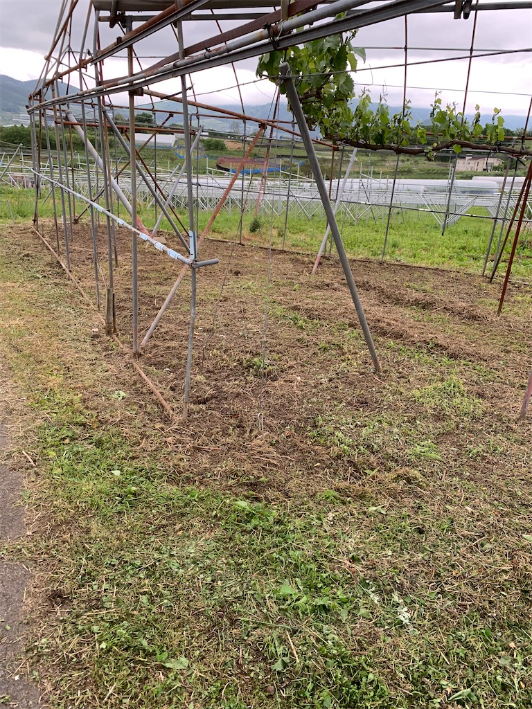 f:id:iwamityu:20200520165614j:image