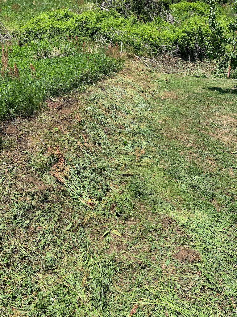f:id:iwamityu:20200522123517j:image