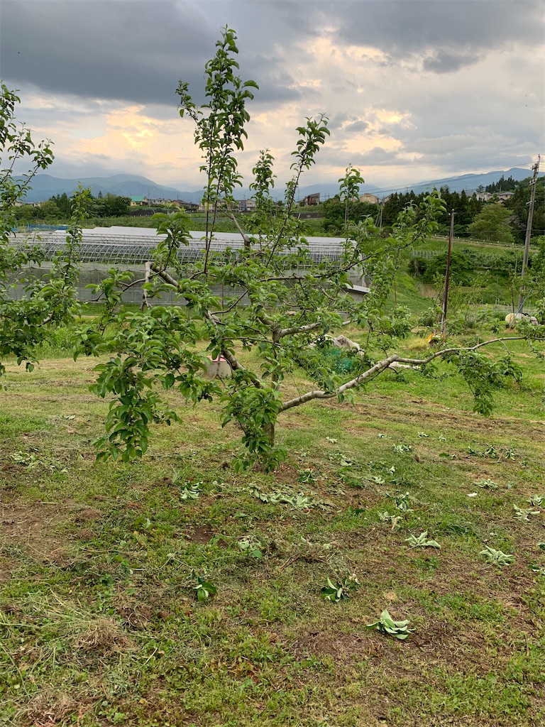 f:id:iwamityu:20200523173614j:image f:id:iwamityu:20200523173614j:image