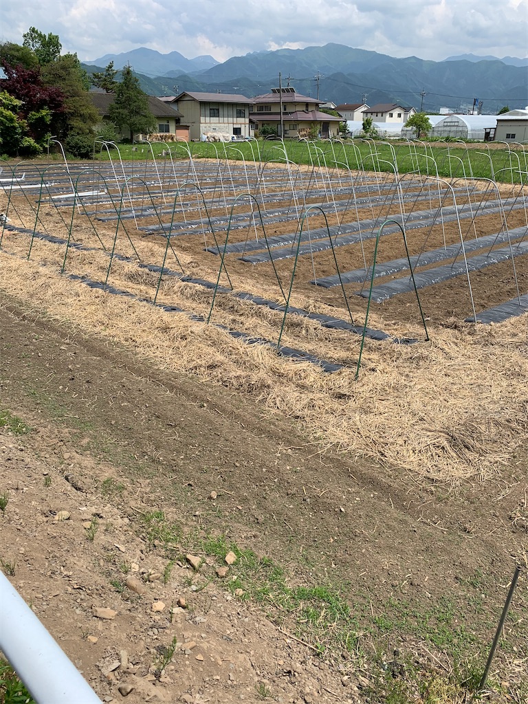 f:id:iwamityu:20200525142529j:image