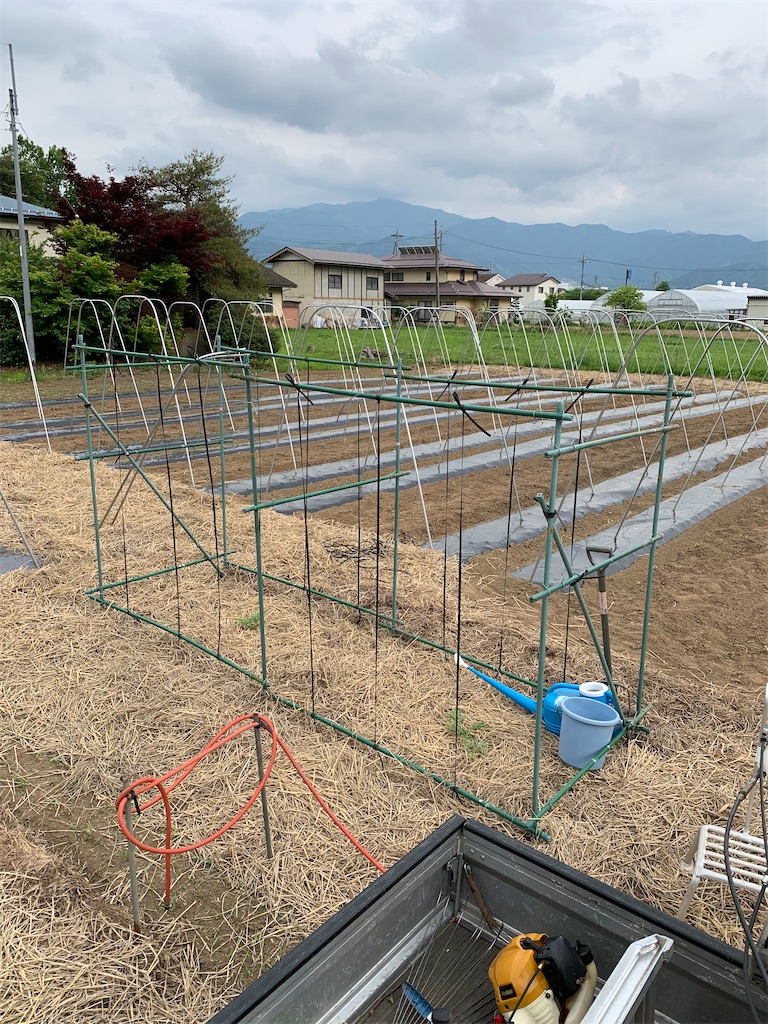 f:id:iwamityu:20200525173219j:image