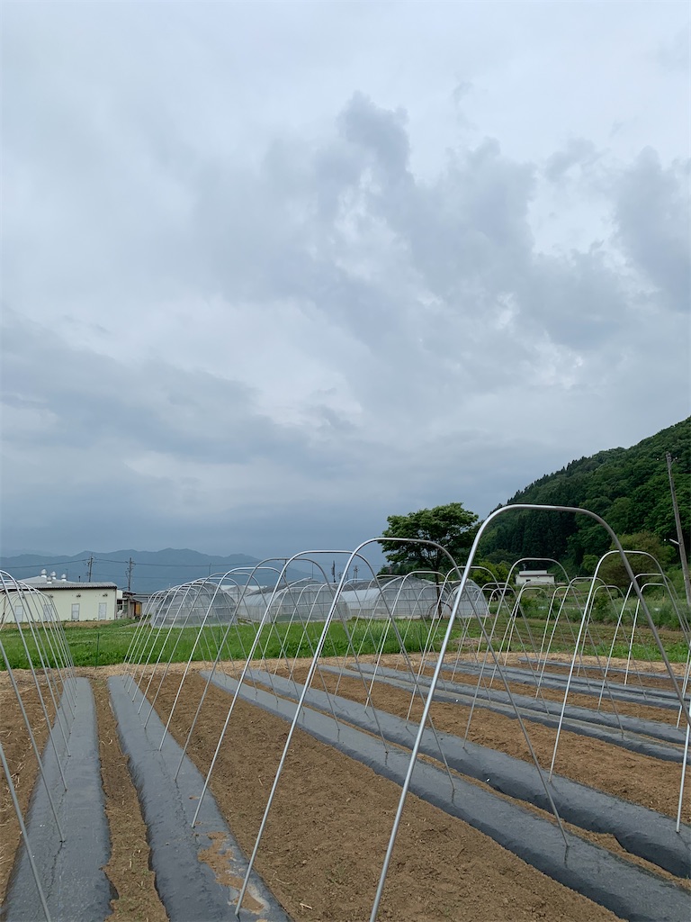 f:id:iwamityu:20200526171433j:image f:id:iwamityu:20200526171433j:image