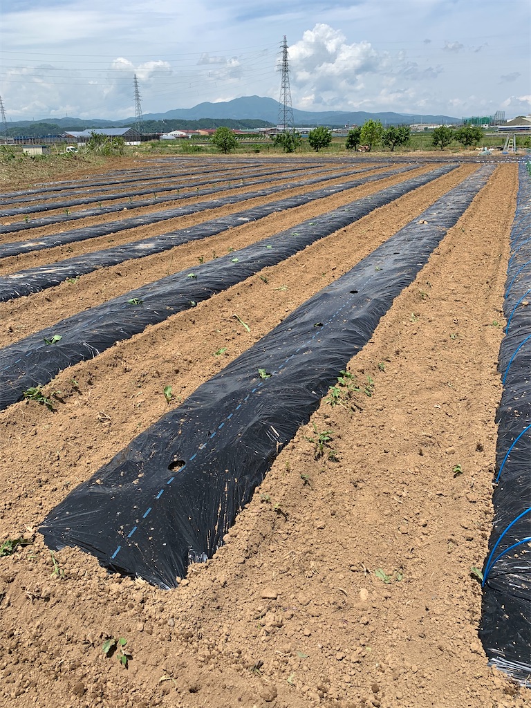 f:id:iwamityu:20200526171456j:image f:id:iwamityu:20200526171456j:image