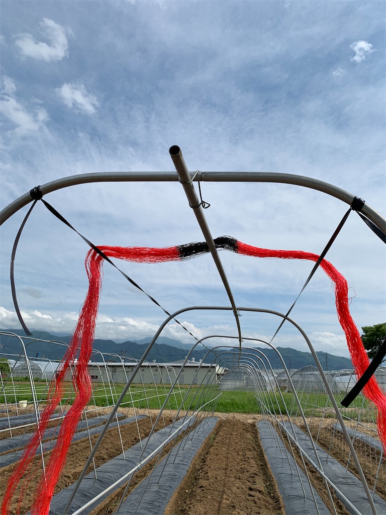 f:id:iwamityu:20200527190821j:image
