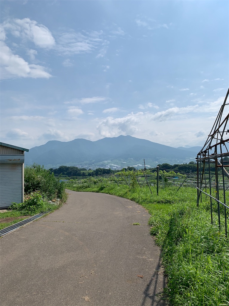 f:id:iwamityu:20200720191242j:image