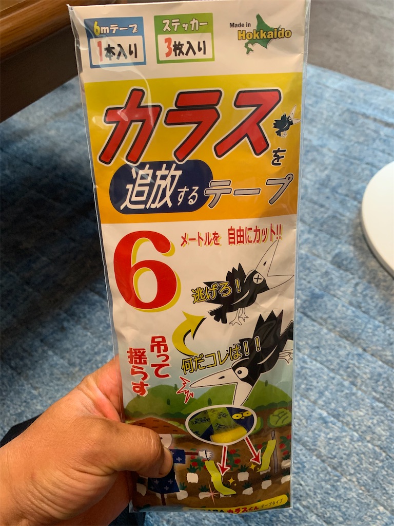 f:id:iwamityu:20200811184520j:image f:id:iwamityu:20200811184520j:image