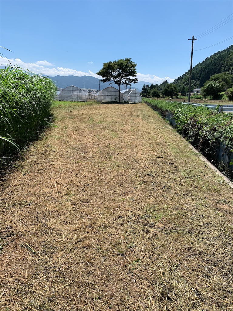 f:id:iwamityu:20200814160534j:image