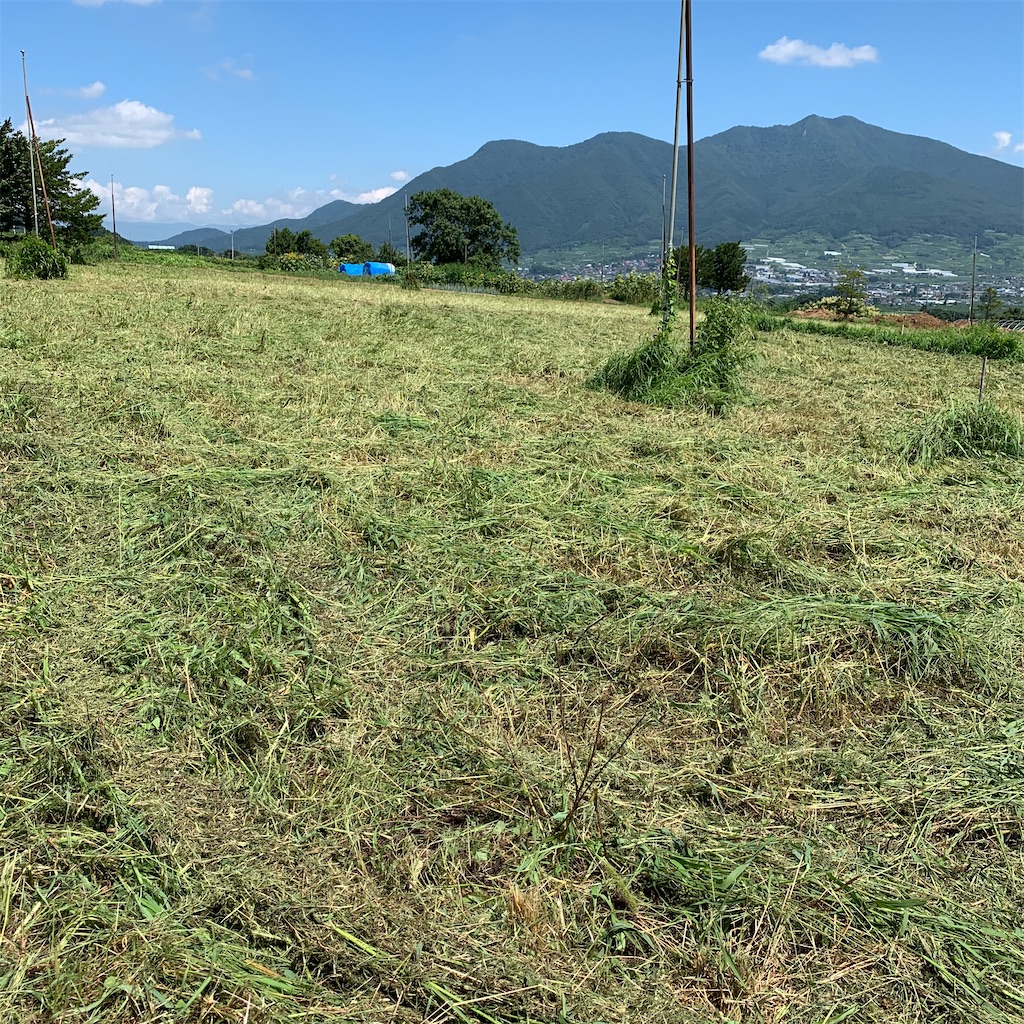 f:id:iwamityu:20200818171501j:image f:id:iwamityu:20200818171501j:image