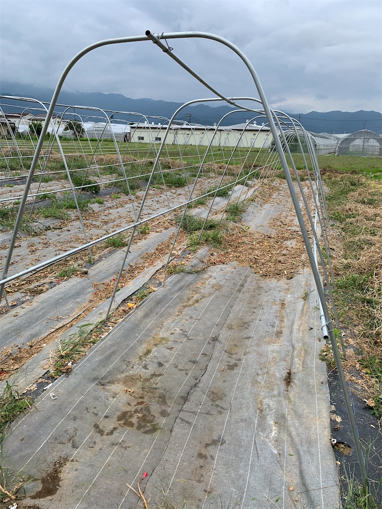 f:id:iwamityu:20201005181611j:image f:id:iwamityu:20201005181611j:image