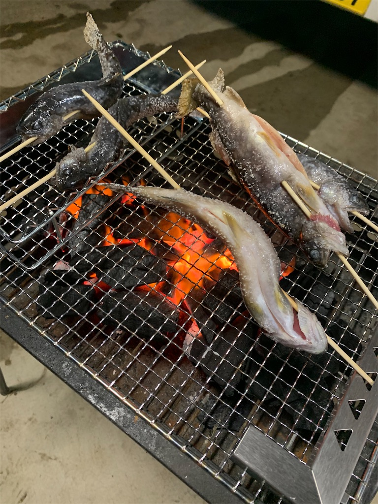 f:id:iwamityu:20201010191557j:image