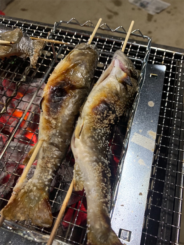 f:id:iwamityu:20201010191600j:image