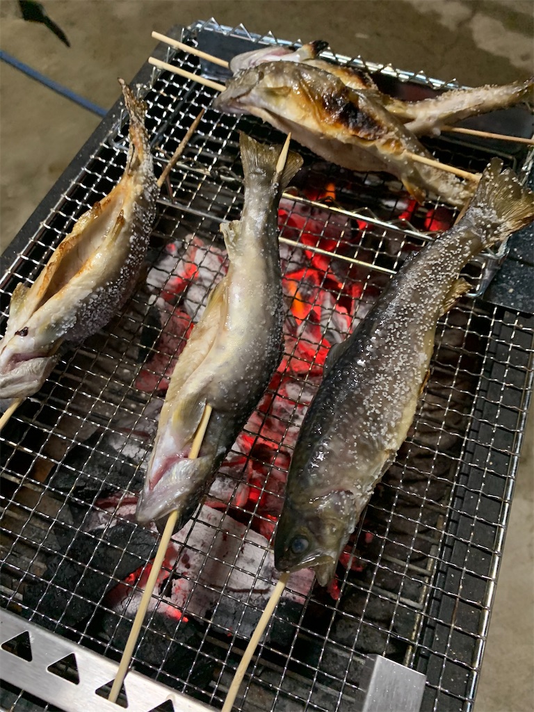 f:id:iwamityu:20201010191629j:image