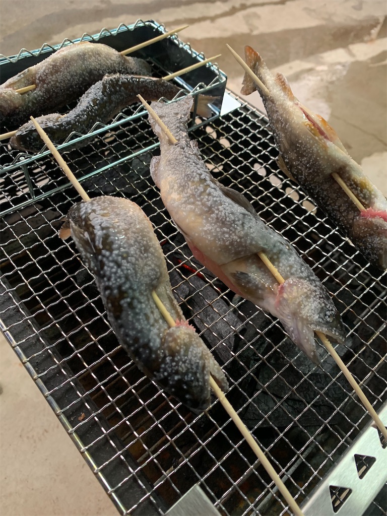 f:id:iwamityu:20201010191636j:image