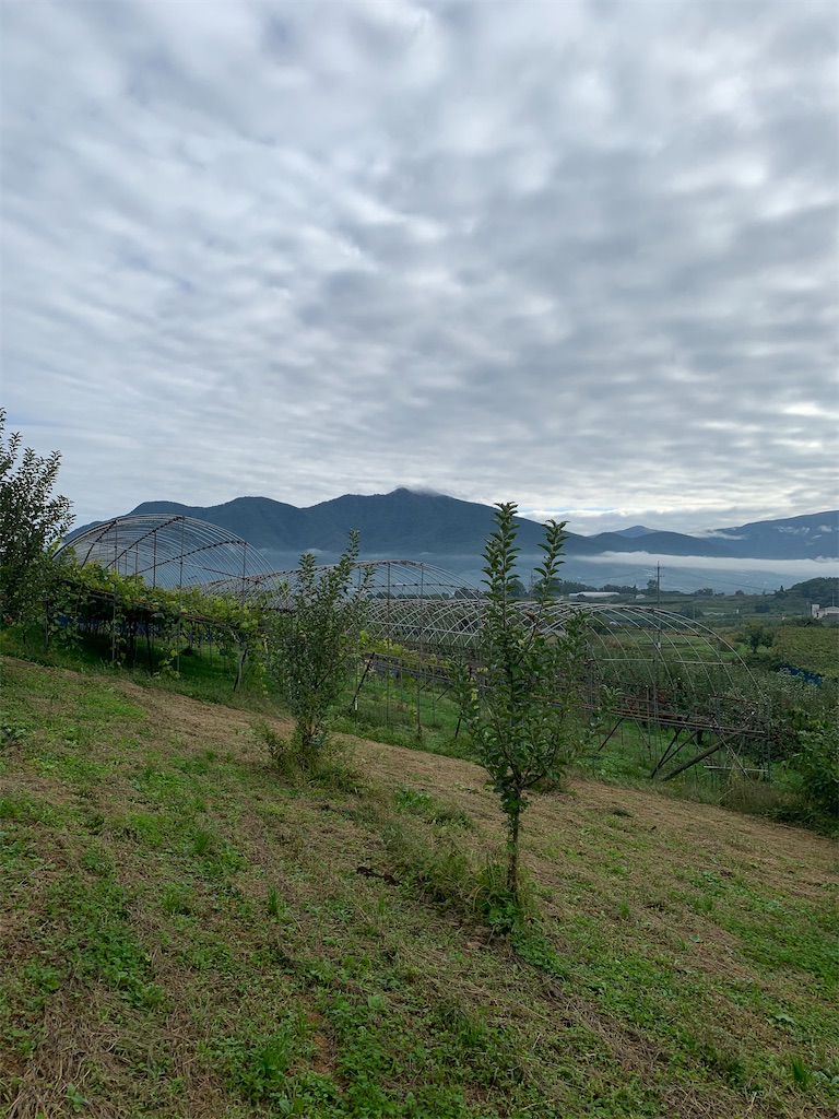 f:id:iwamityu:20201011172631j:image