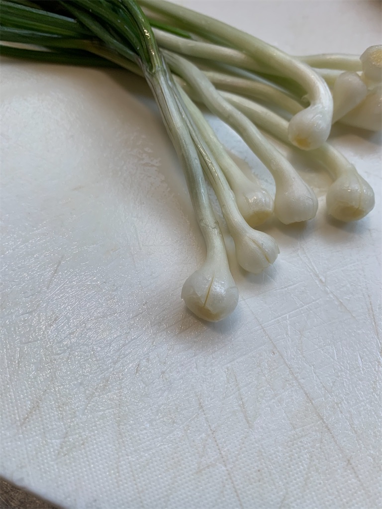 f:id:iwamityu:20201020200017j:image f:id:iwamityu:20201020200017j:image