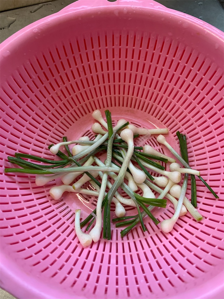 f:id:iwamityu:20201020200129j:image f:id:iwamityu:20201020200129j:image