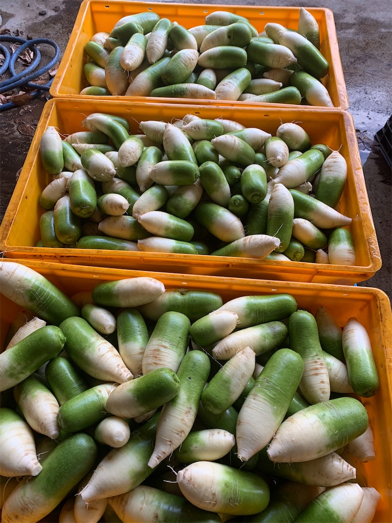 f:id:iwamityu:20201113220331j:image f:id:iwamityu:20201113220331j:image